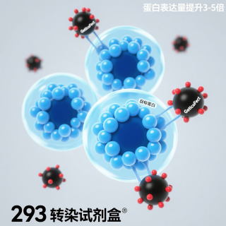 GeticoFect 293 转染试剂盒